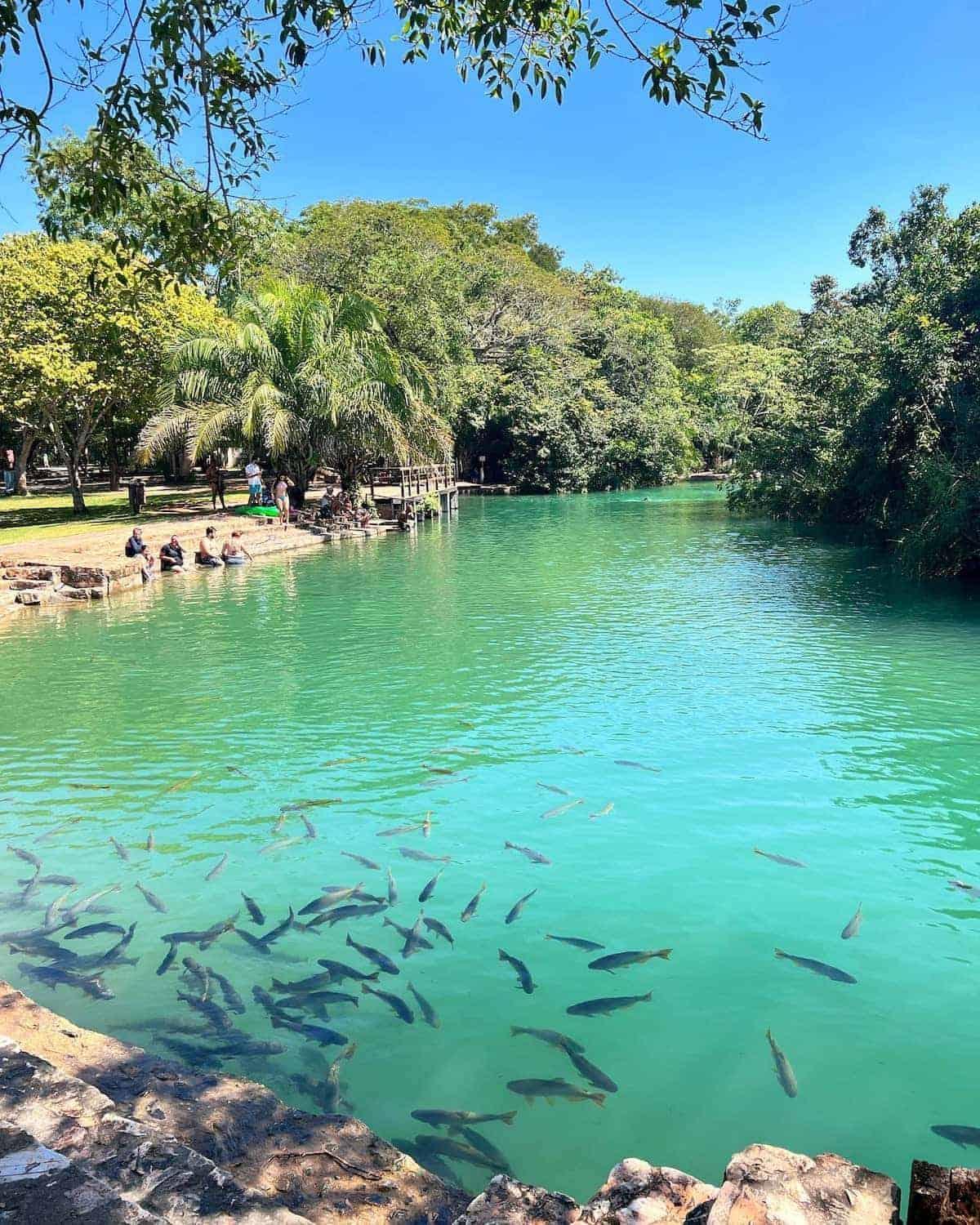 Barra Bonita Pousada Bonito  Exteriér fotografie
